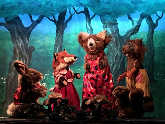 Zouzou avec ses amis de la forêt : Renard, Castor, Lapin