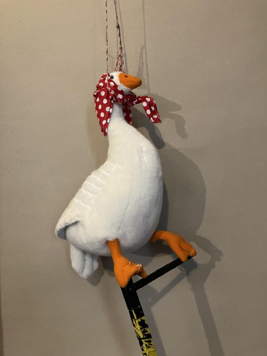 Oie blanche coiffée d'un foulard à pois rouge et blanc